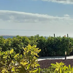 The Black Horse Canarias - Adults Only , Maspalomas (Gran Canaria) Spanje